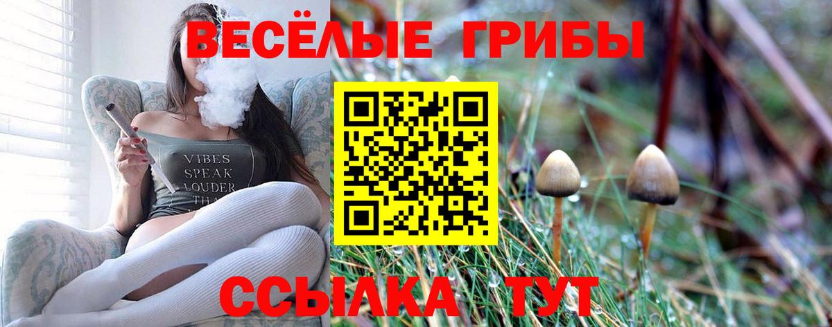 Псилоцибиновые грибы мухоморы Кандалакша