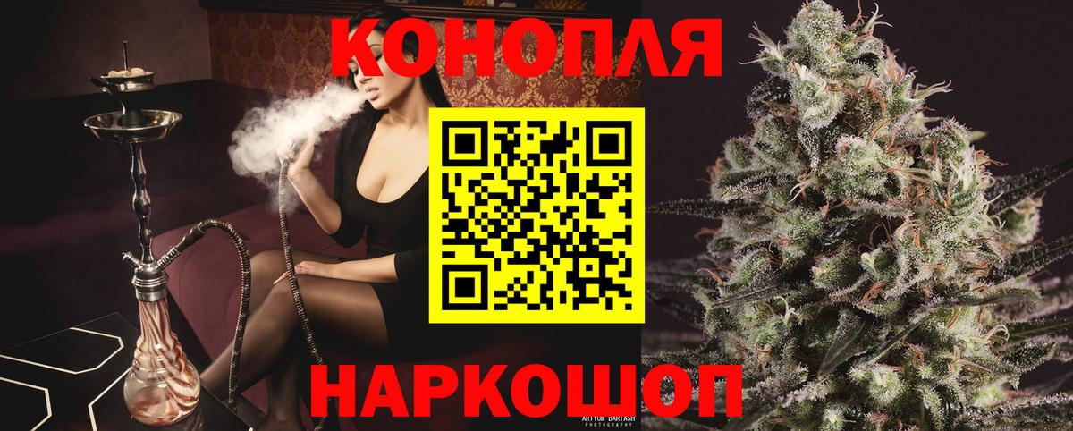 Канабис сатива  Вход с VPN  Кандалакша  Бошки марихуана конопля  Каннабис Ganja 
